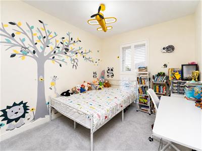 Picture 8